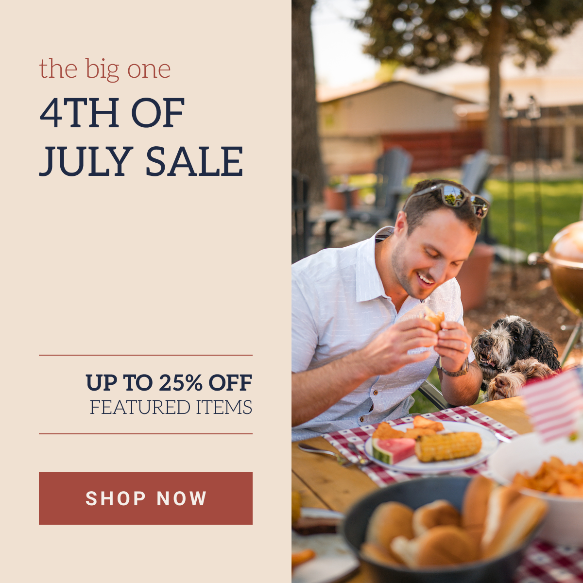 4th of July sale hero