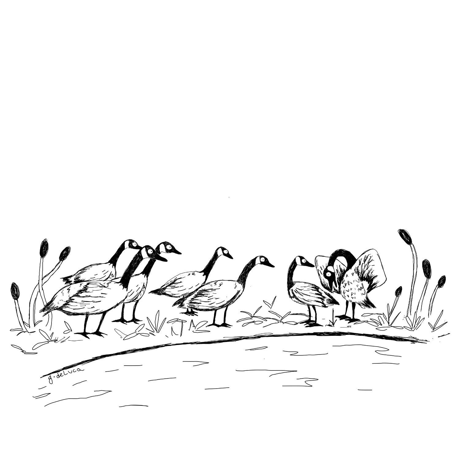 A flock of geese stands by a pond. One goose spreads its wings and checks its abdomen.