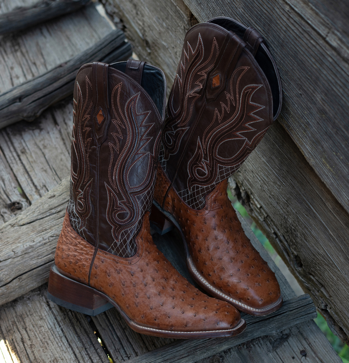 WESTERN BOOTS