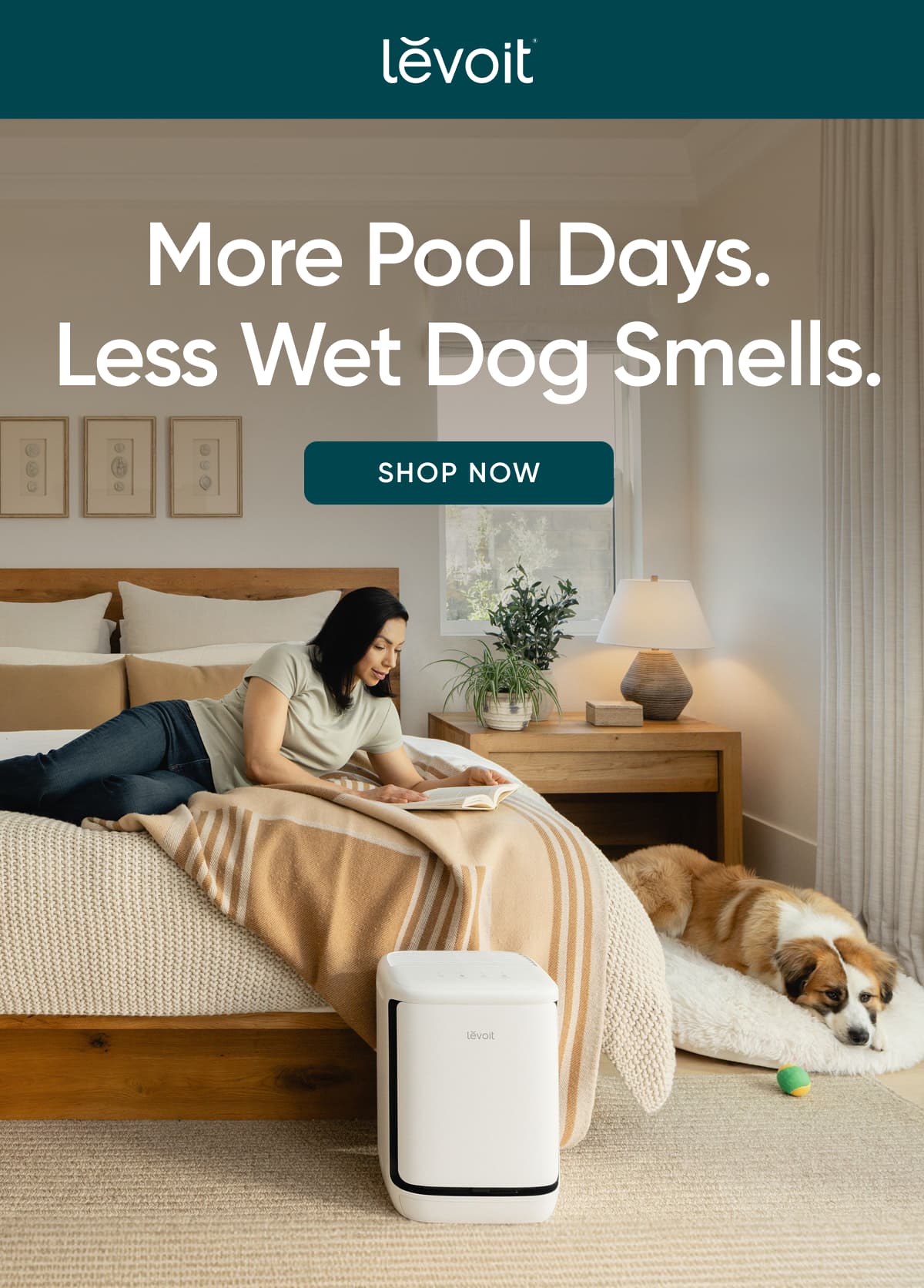 More Pool Days. Less Wet Dog Smells.