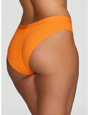 The Bikini Modal