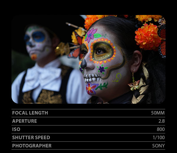 Focal Length 50mm, Aperture 2.8, ISO 800, Shutter Speed 1/100, Photographer Sony