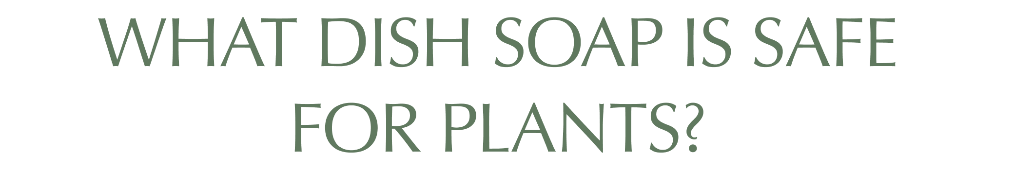 What dish soap is safe  for plants?&nbsp;