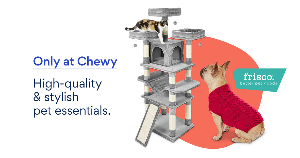 Only at Chewy, high quality pet essentials