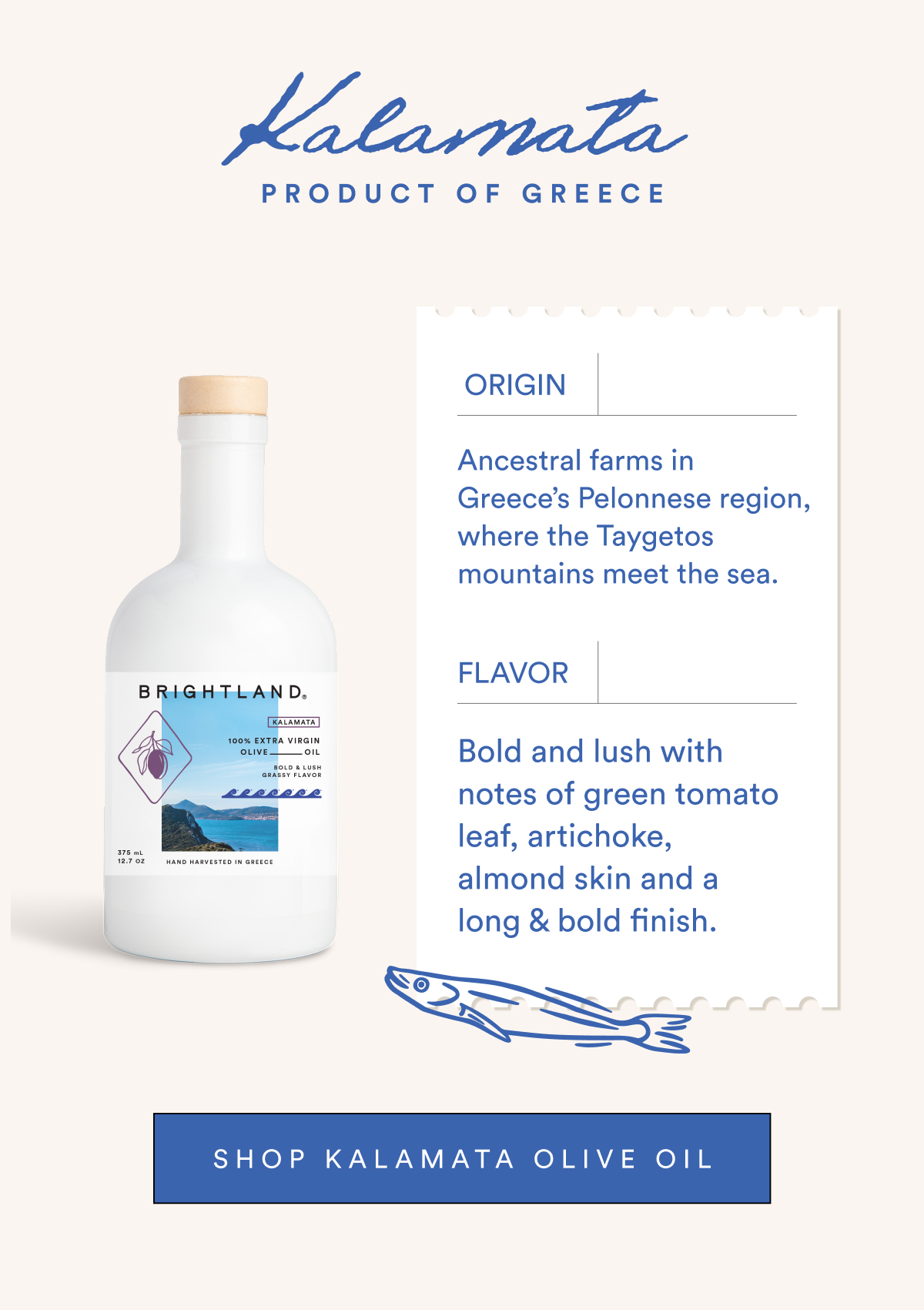 Shop Kalamata Olive Oil