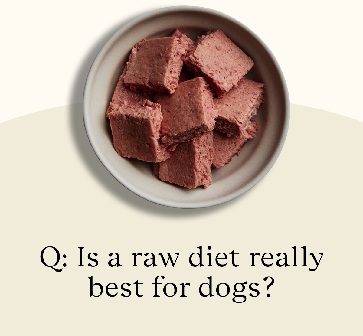 Q: Is a raw diet really best for dogs?