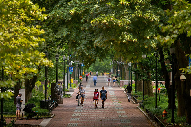 Trees overlooking Locust Walk.