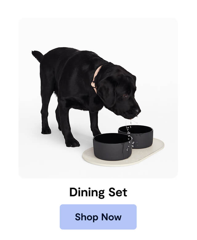 Dining Set