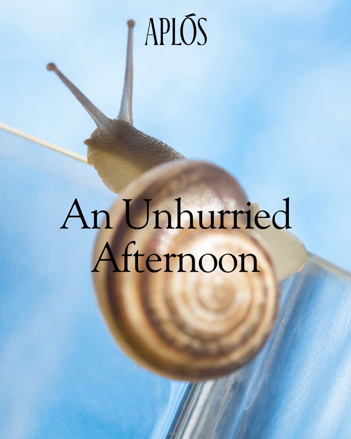 Aplós | An Unhurried Afternoon