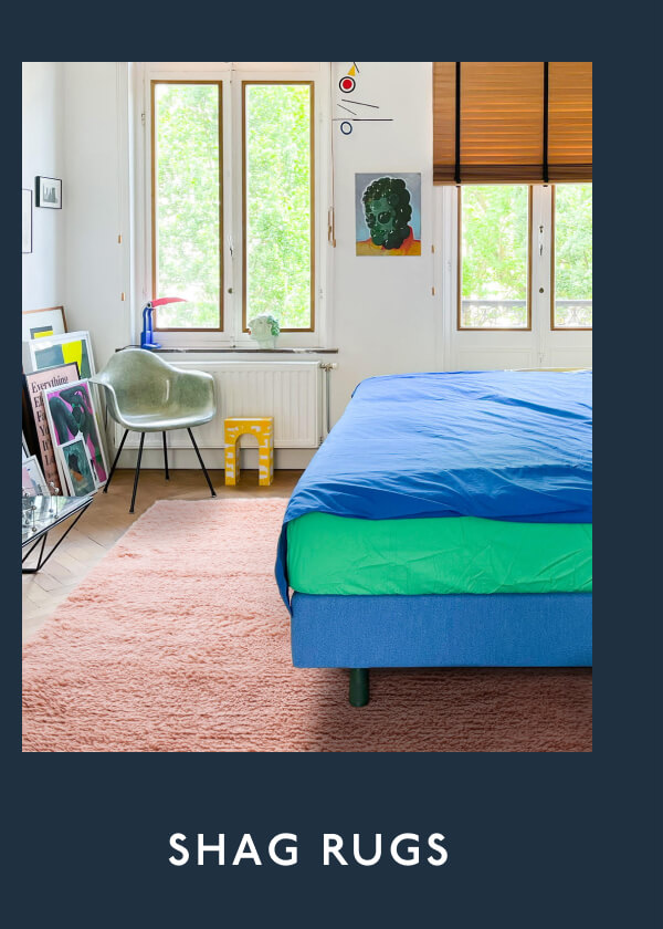 Shop shag rugs