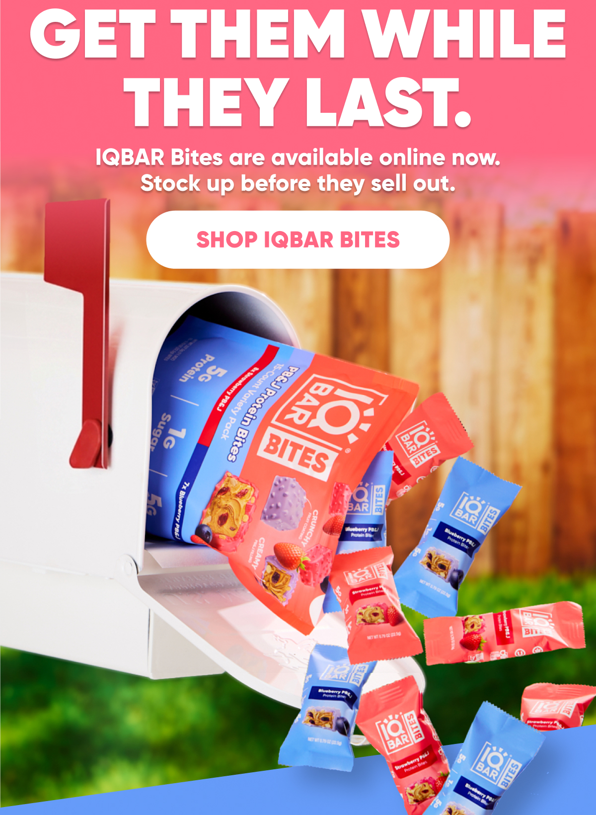 Shop IQBAR Bites