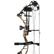 Compound Bows