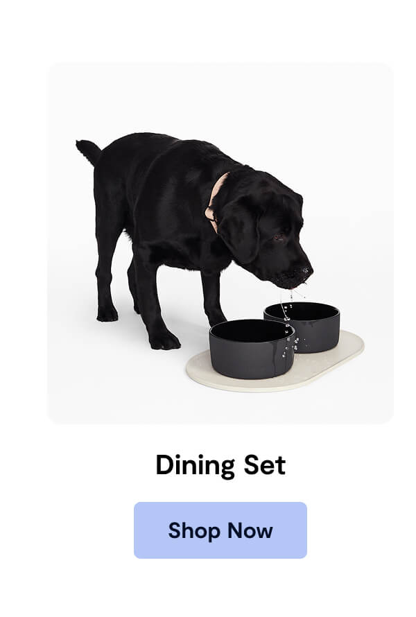 Dining Set