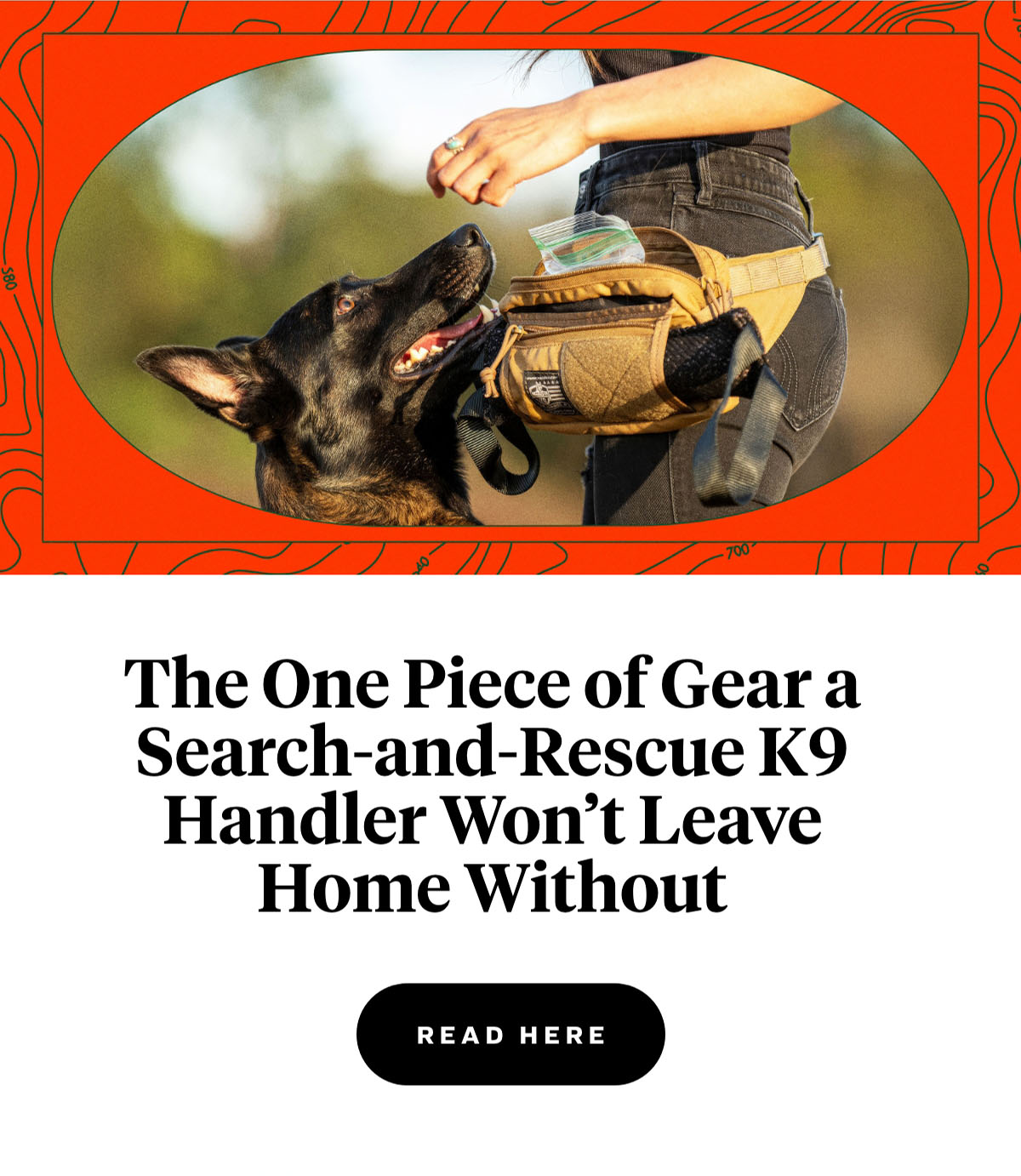the one piece of gear a search-and-rescue k9 handler won't leave home without