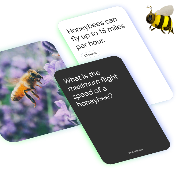 A flashcard asks the maximum flight speed of a honeybee, and the answer card shows up to 15 miles per hour.