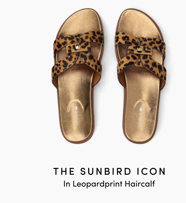 The Sunbird Icon In In Leopardprint Haircalf