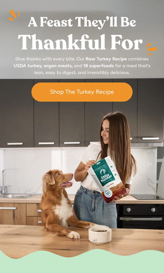A Feast They’ll Be Thankful For 