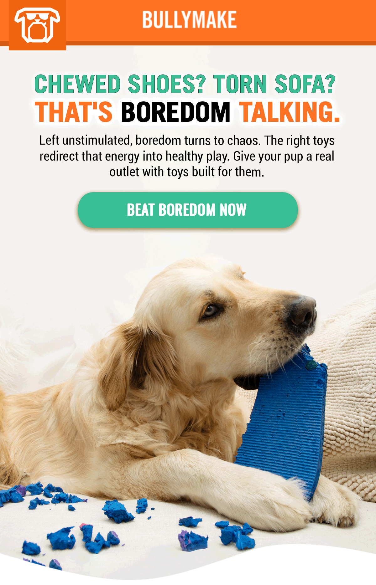 Bullymake Dog Toy Subscription Box