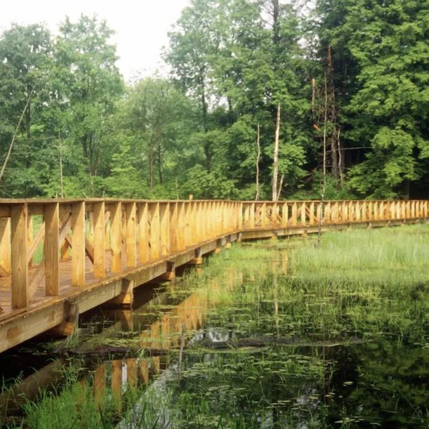Tsuga Trail 