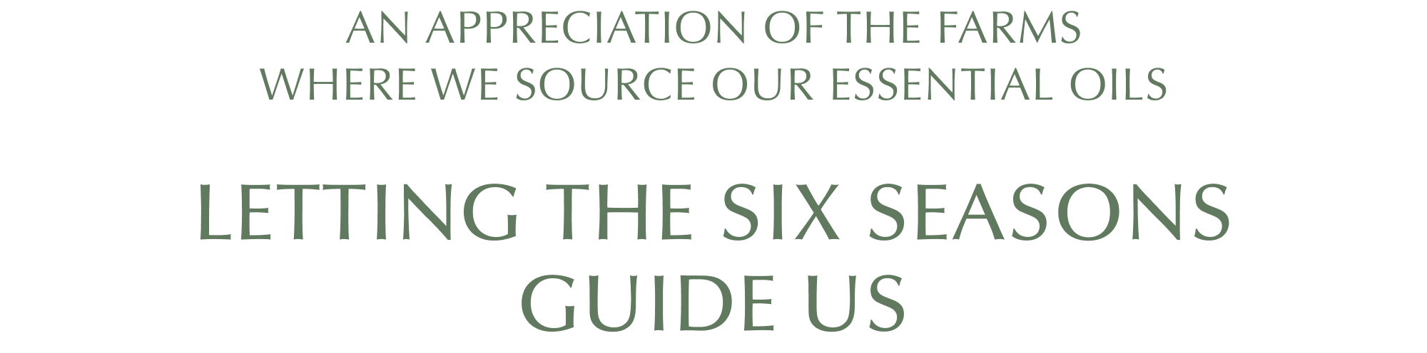 AN APPRECIATION OF THE FARMS WHERE WE SOURCE OUR ESSENTIAL OILS. LETTING THE SIX SEASONS GUIDE US