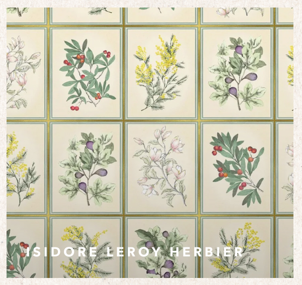 Isidore Leroy Herbier Green Botanical Non Woven Wallpaper
