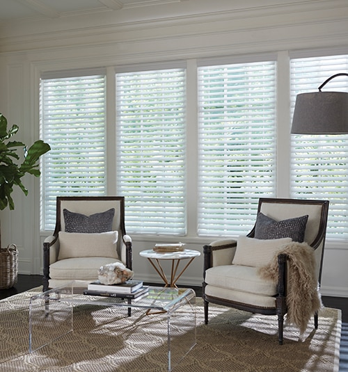 Levolor 2" Faux Wood Blinds