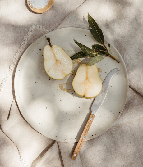 Canyon Dinner Plates, Set of 4