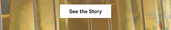 See the Story