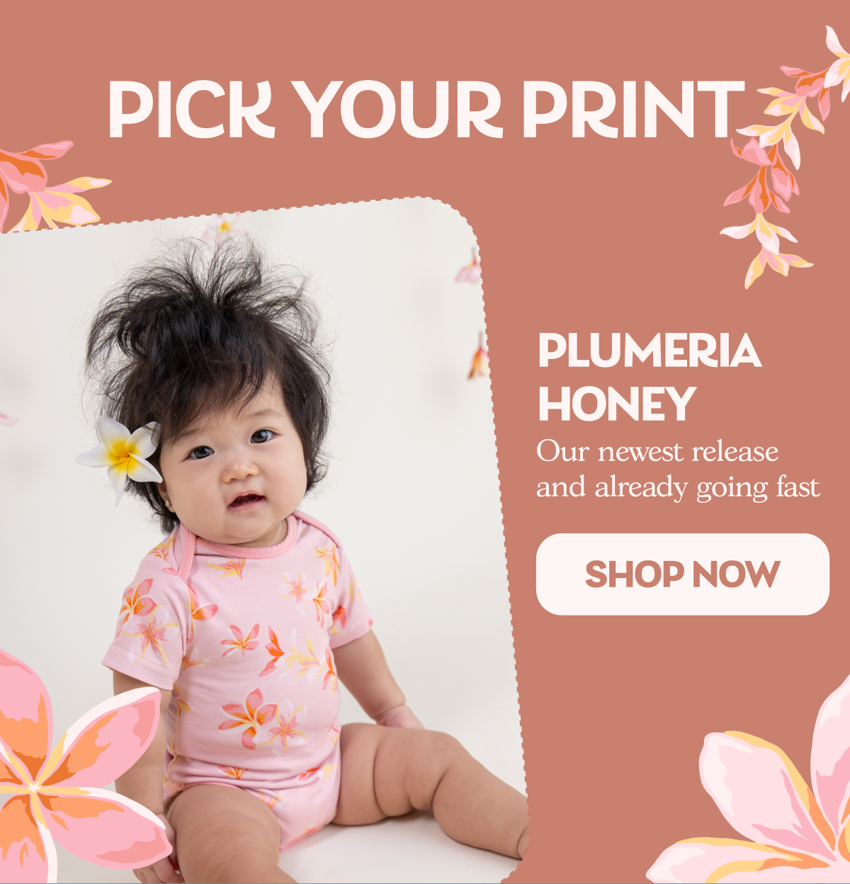 Plumeria Honey