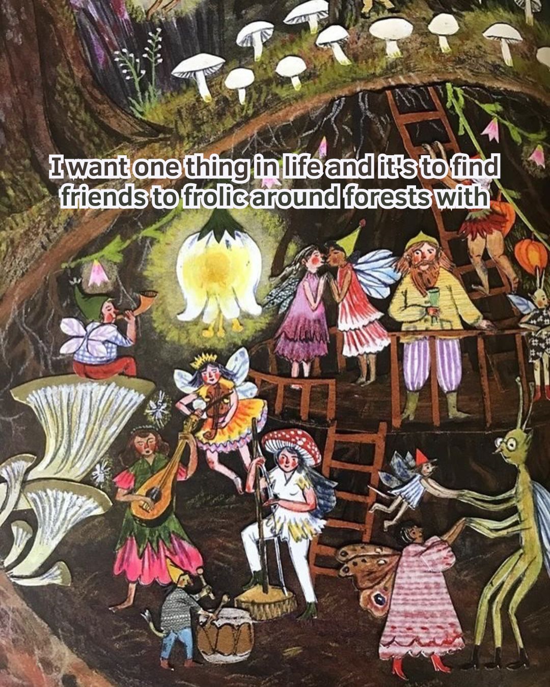An illustration of fairies and gnomes partying among roots and mushrooms. Text says: I want one thing in life and it's to find friends to frolic around forests with.