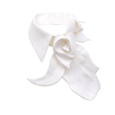 Designer Collar