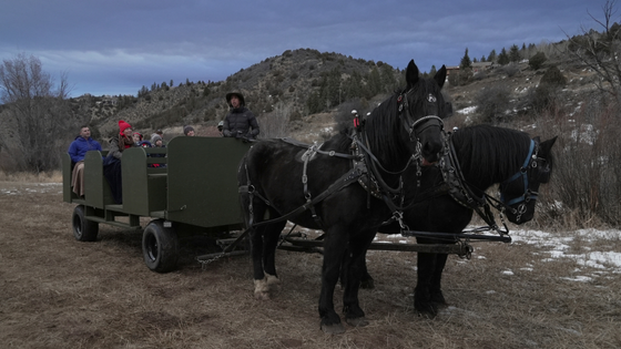 Tourists ride in a horse-pulled wagon in lieu of a sleigh.