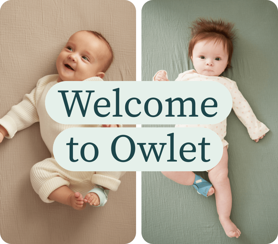 Welcome to Owlet!