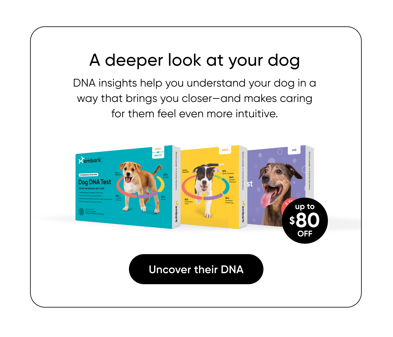 A deeper look at your dog. DNA insights help you understand your dog in a way that brings you closer—and makes caring for them feel even more intuitive. Uncover their DNA.