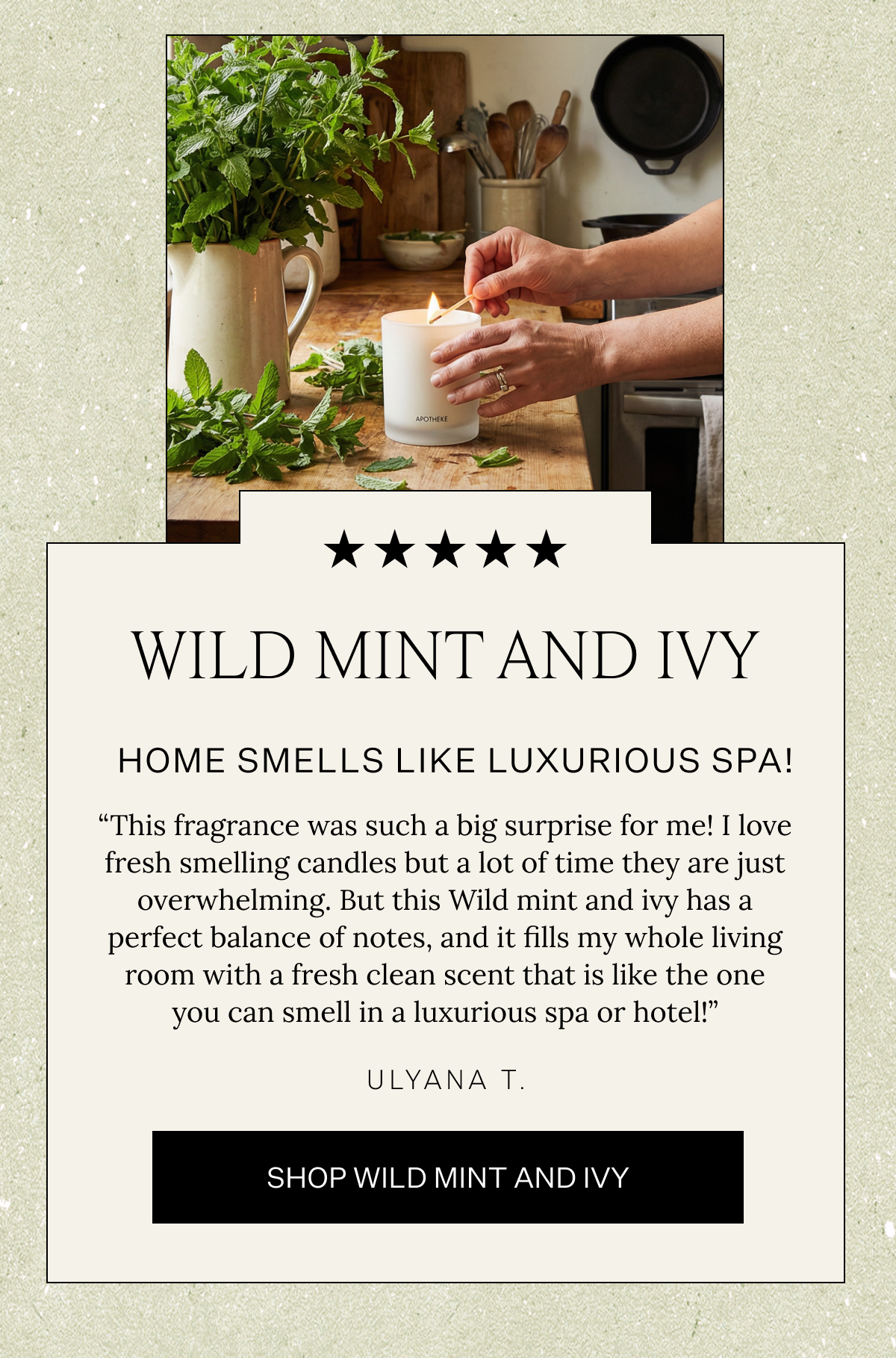 Shop Wild Mint And Ivy