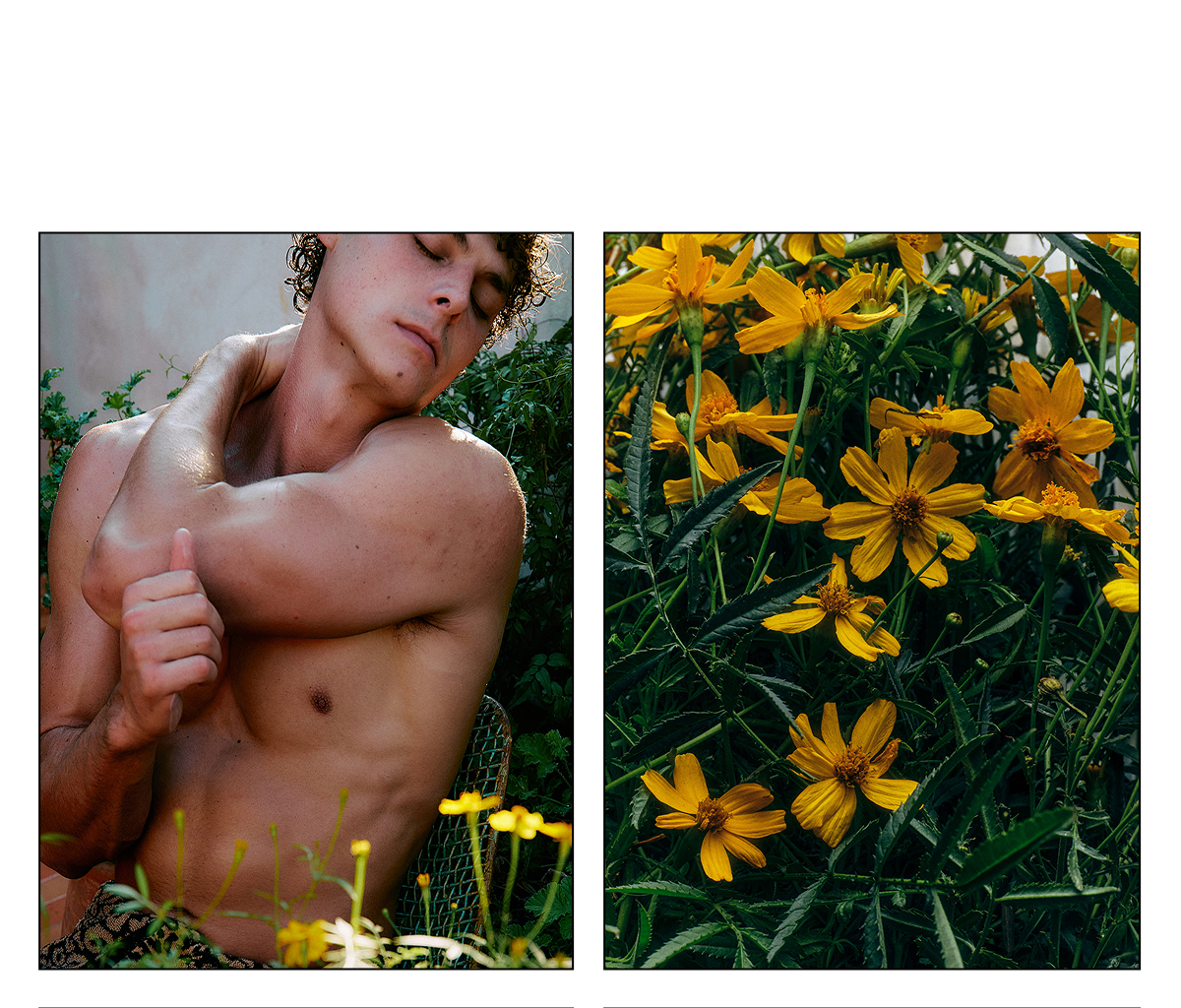 The Sensual Garden