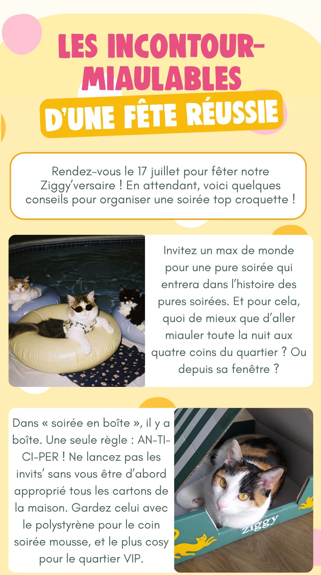 Les incontourmiaulables d'une fête réussie