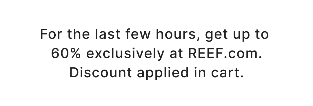 For the last few hours, get up to 60% exclusively at REEF.com. Discount applied in cart.