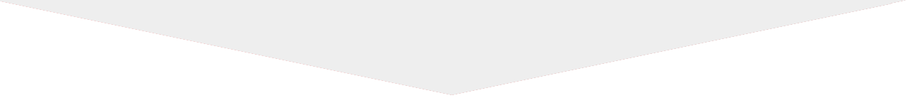 chevron slice
