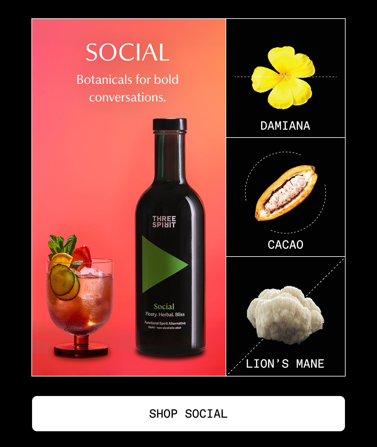 Social | Botanicals for bold conversations. | Damiana | Cacao | Lion’s Mane | [ SHOP SOCIAL ]