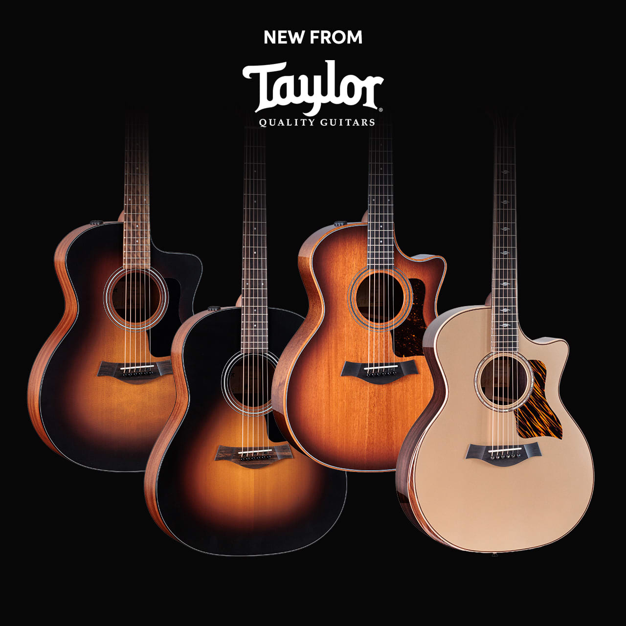 New from Taylor