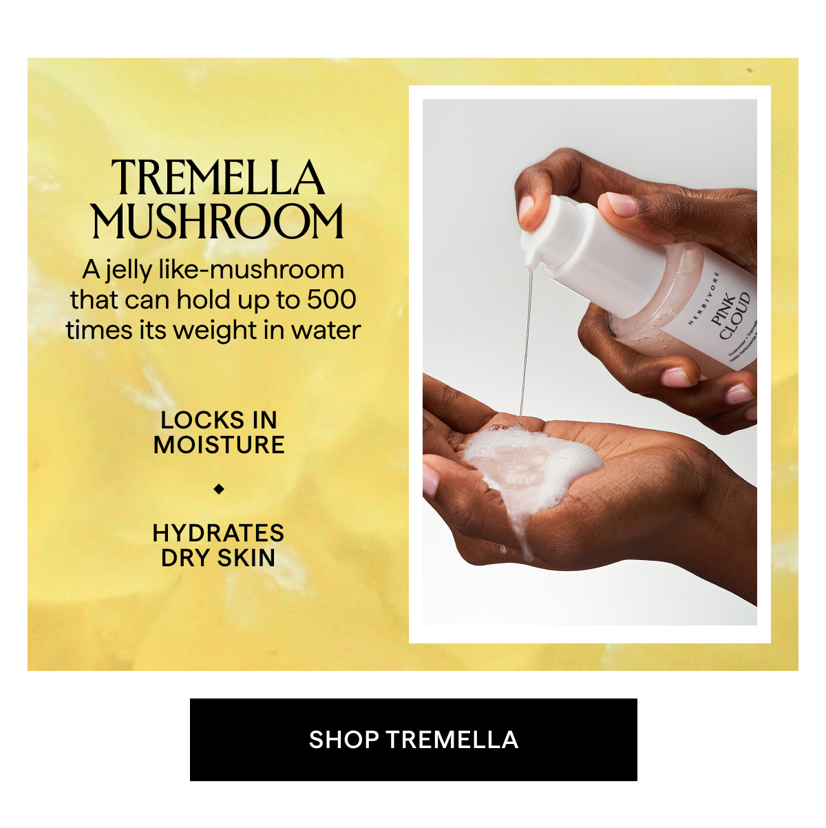 TREMELLA MUSHROOM: A jelly like-mushroom