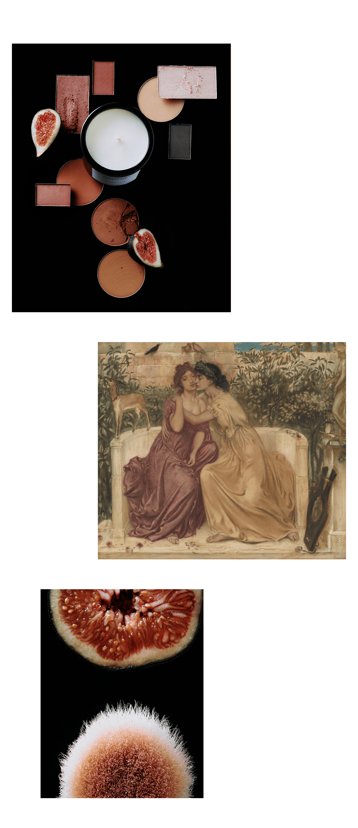 Sappho Fig