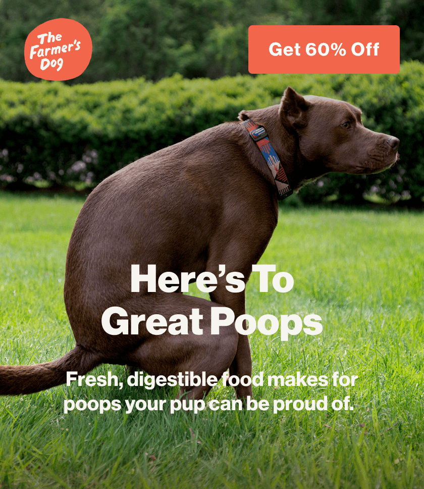 The Farmer’s Dog advertisement featuring a brown dog squatting on a green lawn. The headline reads 'Here’s To Great Poops' with the subtext 'Fresh, digestible food makes for poops your pup can be proud of.' A call-to-action button in the corner offers 'Get 60% Off.