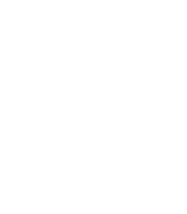 fire icon