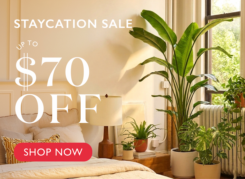 Staycation Sale Happening Now