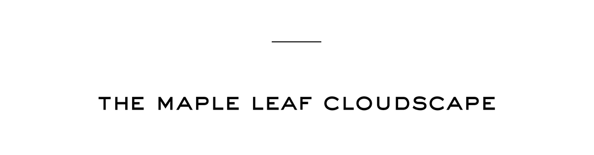 New In Ready-to-Wear