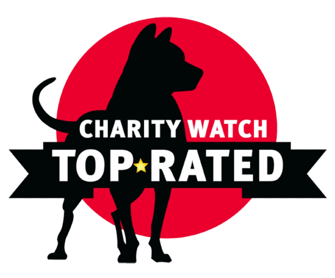 Charity Watch