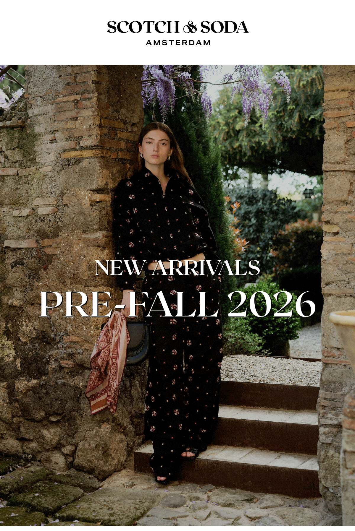 New Arrivals