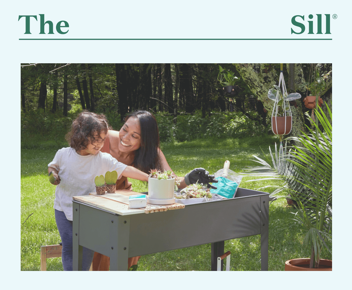 Welcome! I’m Eliza, the Founder of The Sill.